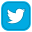 X (Twitter)